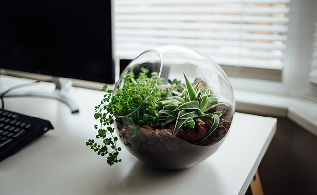 office decoration items