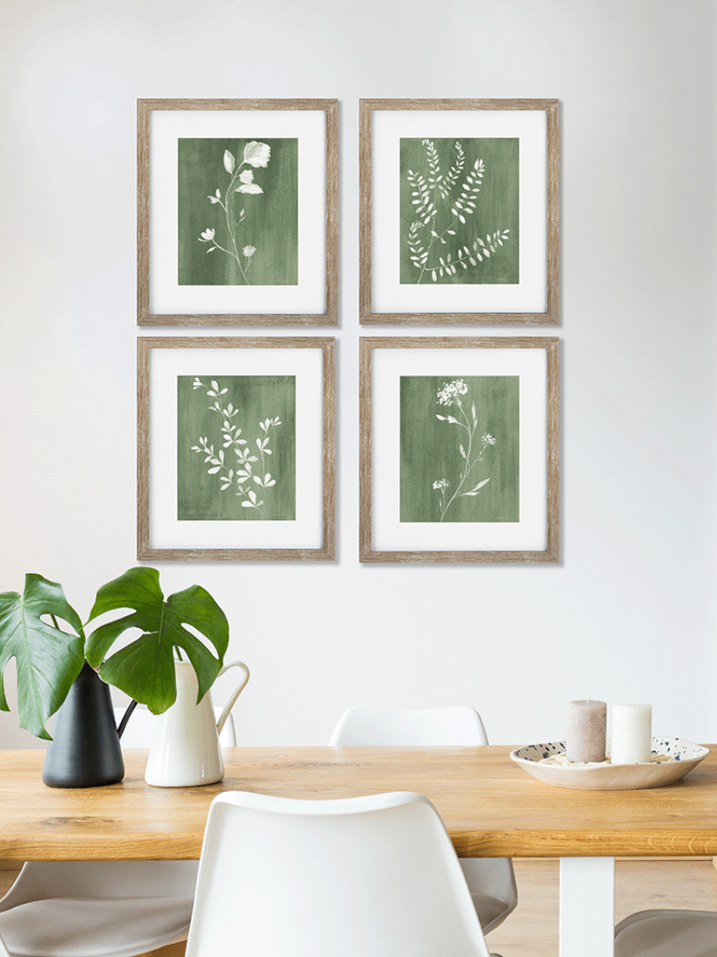 botanical art prints