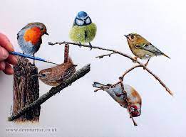 bird painting