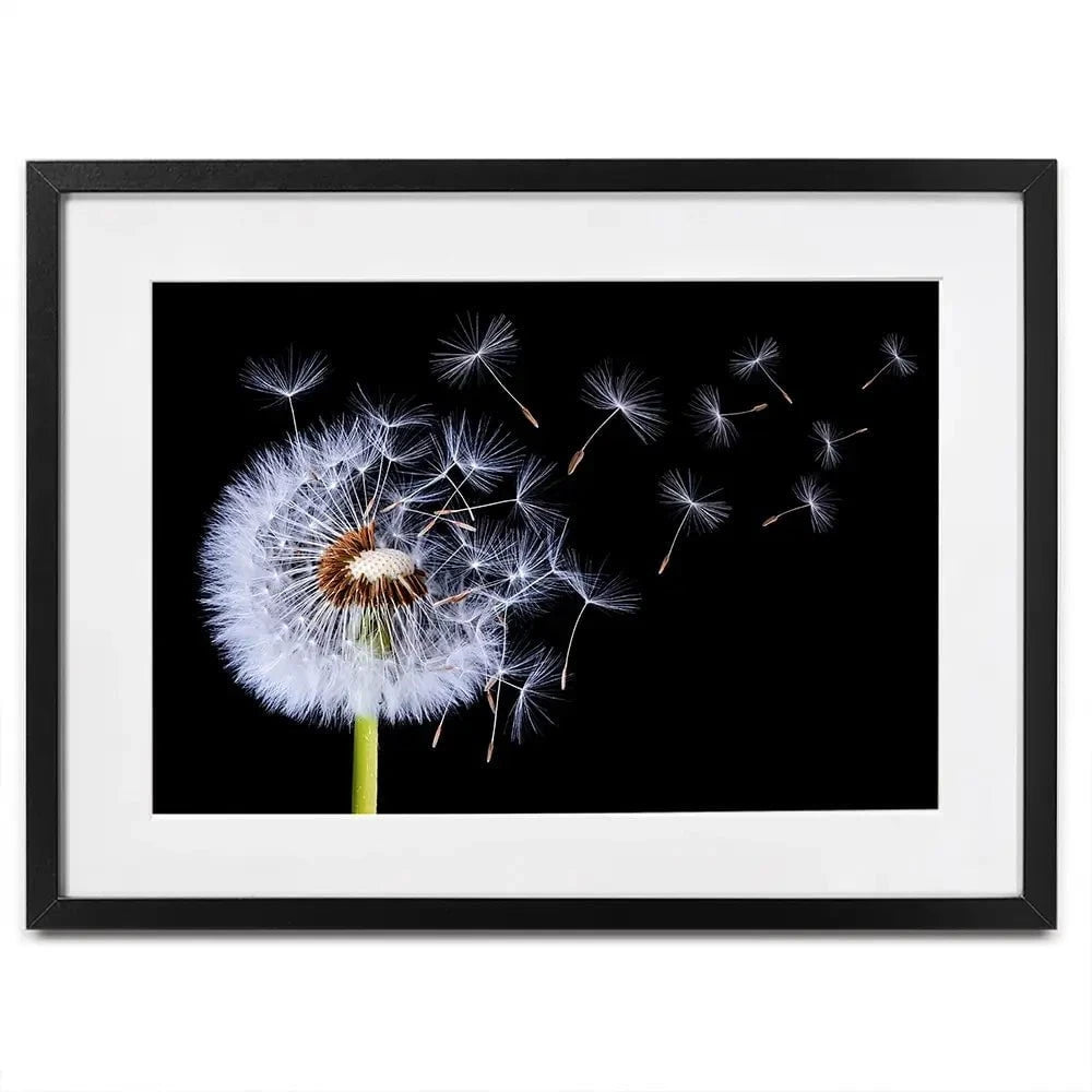 black framed prints