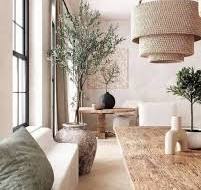 organic modern decor